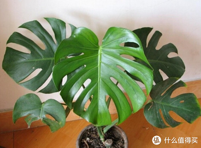 不换掉家具,轻松让你的家北欧起来!